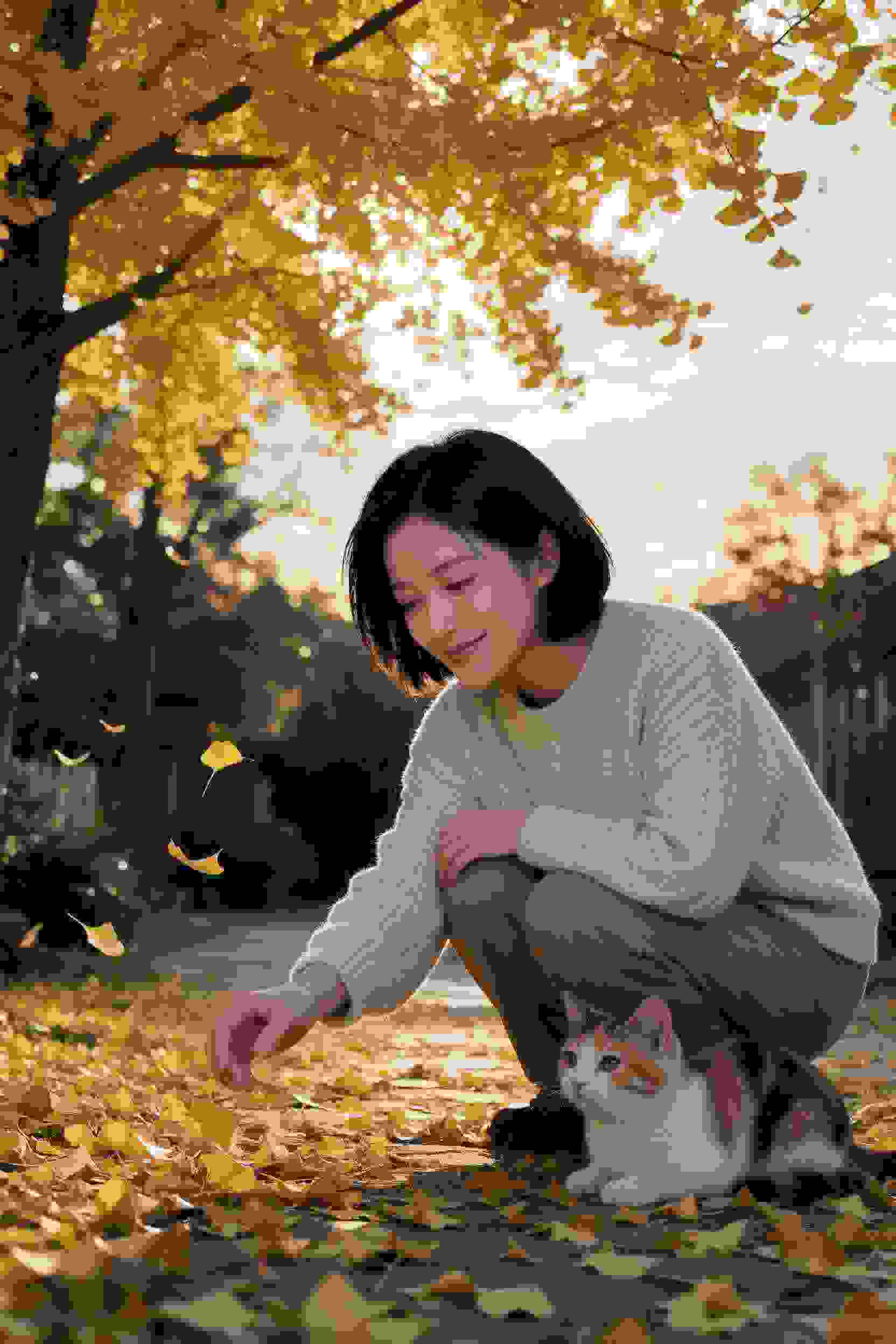命运的邂逅